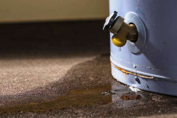 Best Flood damage cleanup  in Phenix City, AL