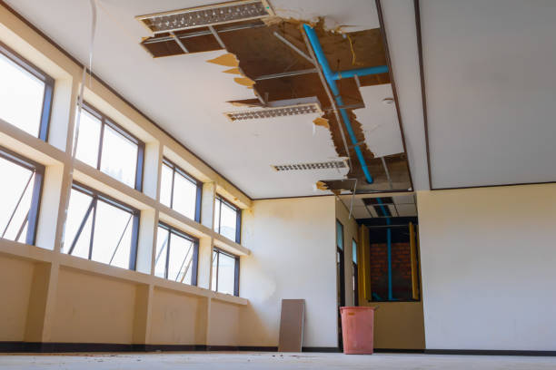 Carpet water damage restoration in Phenix City, AL