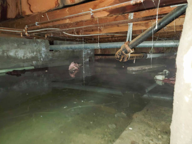  Phenix City, AL Water damage restoration Pros