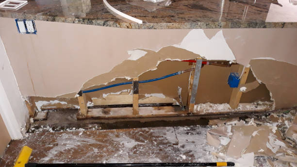 Best Carpet water damage restoration  in Phenix City, AL