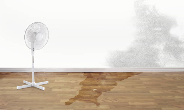 Best Fire Damage Restoration  in Phenix City, AL
