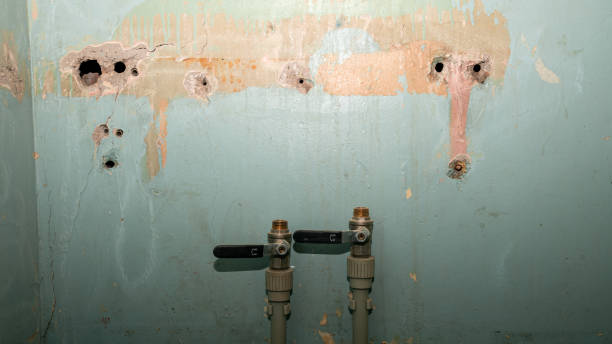 Best Ceiling water damage repair  in Phenix City, AL